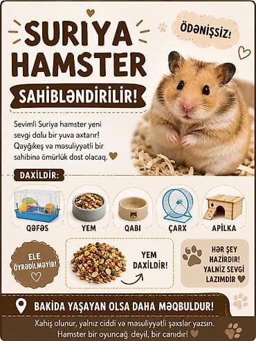 Pulsuz hamster sahiblendirilir. Qefes apilka yem yemek qabi carx su — 2