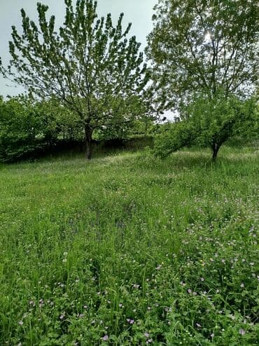 3 комнатная квартира: 24 sot, Tikinti, Mülkiyyətçi, Kupça (Çıxarış) — 12
