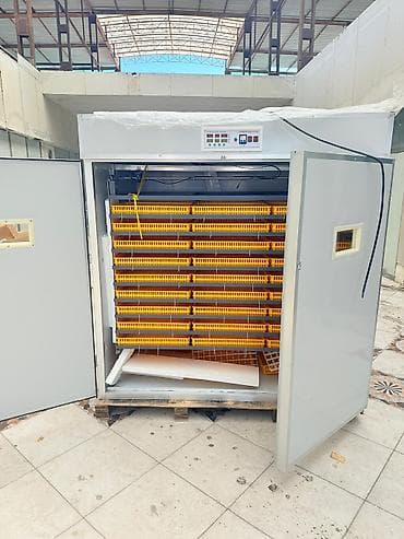 ınqbator: 5000 yumurta, Çin, Fabrik istehsalı, Tam avtomat, Bütün növ quşlaq üçün — 3