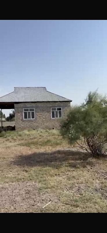 ev alqi satqisi ve kirayesi: Kənd təsərrüfatı — 8
