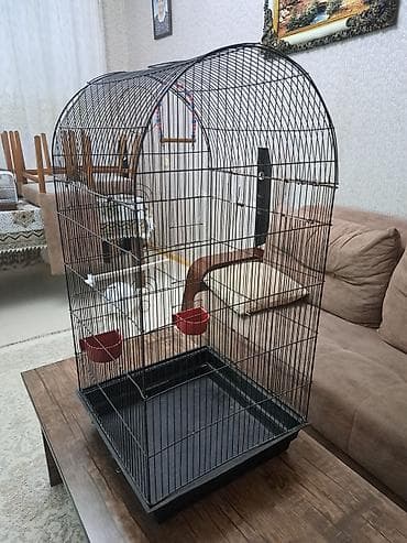 Qəfəs böyik qəfəsdir hündirliyi 90 sm — 2