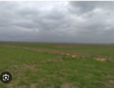 saray qəsəbəsində ucuz torpaqlar: 91 sot, Kənd təsərrüfatı, Mülkiyyətçi, Bələdiyyə — 5