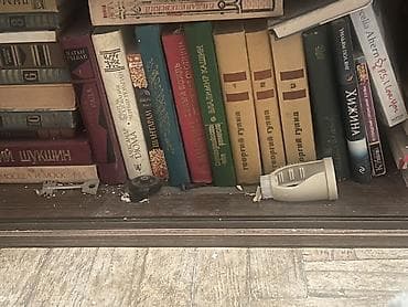 Rus dilində müxtəlif janrlardan böyük kitab kolleksiyası - Janrlar