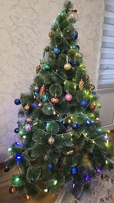 1,80sm Elka/yolka/şam agaci. Unvan qarayev metrosunun yani. Ideal