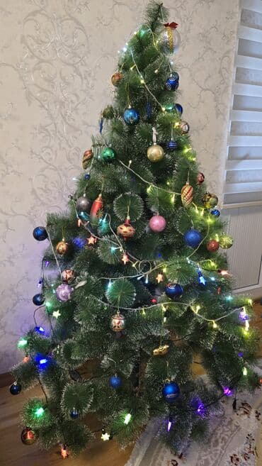 Bağ evi və bağ üçün hərşey: 1,80 Elka/yolka/şam agaci.
unvan qarayev metrosu — 2