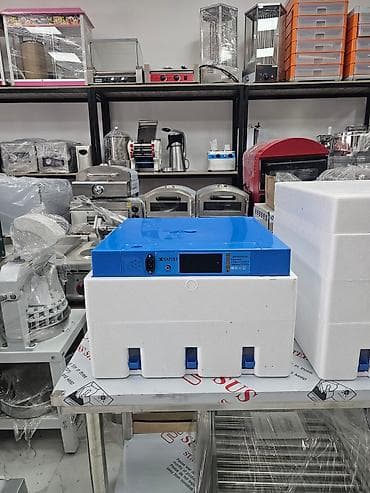 Çin, Fabrik istehsalı, Tam avtomat, Bütün növ quşlaq üçün — 8