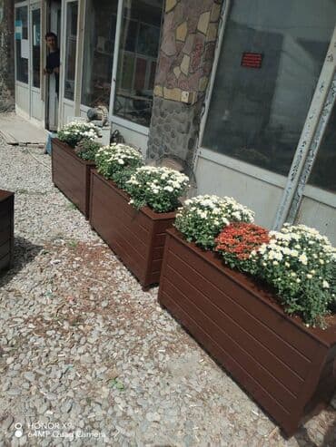 dipçək: 100x35x35 olan dipcəkler Gulun hundurluyu 60-70sm Torfu və əkilməsi — 9