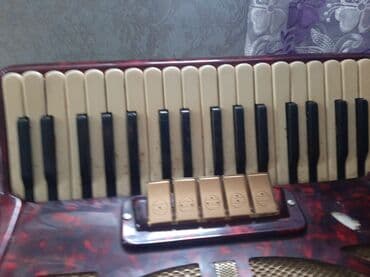 Midi-klaviaturalar: Akustik Akkordeon — 5