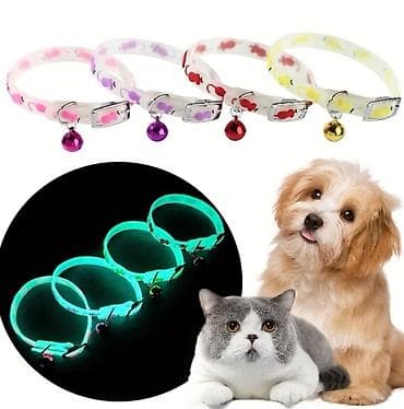 it üçün xalta: Parlayan heyvan boyunbağısı – it və pişiklər üçün Gündəlik istifadə — 4