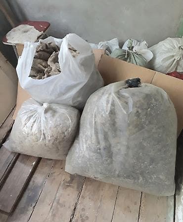 Digər ev dekoru: Qoyun yunu ucuz satılır. 10kq 750 qr. Продаётся недорого овечья — 1