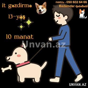 ereb azerbaycan tercume: İt gəzdirmə 10 manat əlaqə nömrəsi 0506026466 Badamdar qəsəbəsi — 1