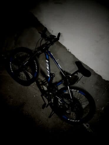 qalin tekerli velosiped: Dağ velosipedi Vista, 26" — 1