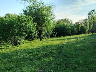 kiraye evler nefcler: 50 sot, Biznes üçün, Kupça (Çıxarış) — 3
