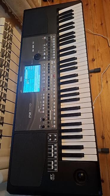 İdman və hobbi: Sintezator, Korg — 1