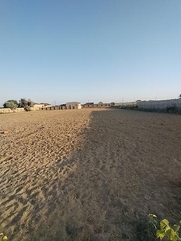 36 sot, Kənd təsərrüfatı, Bələdiyyə