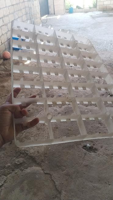 inkubator 2020: Qaz latoku aliram sekildekinden. 32 yumurtaliq — 1