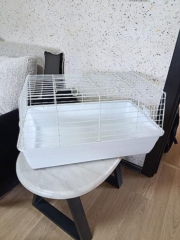 Oyuncaqlar: Новая клетка для кроликов,морских свинок. размер 60/35смвысота 31см — 1