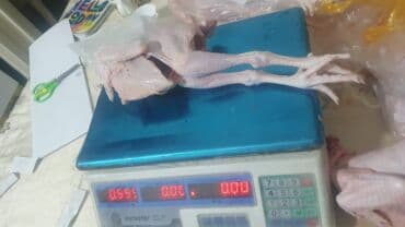 Коровы, быки: Məhsul: Təmizlənmiş çolpalar başsız, içalatı çıxarılmış), ayaqları ilə — 1