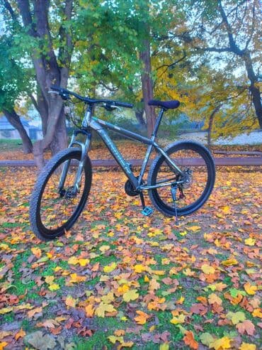 İşlənmiş Şəhər velosipedi Anmier, 29", sürətlərin sayı: 11, Ünvandan götürmə