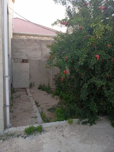 zirede satilan evler: 4 otaqlı, 200 kv. m, Kredit yoxdur, Orta təmir — 2