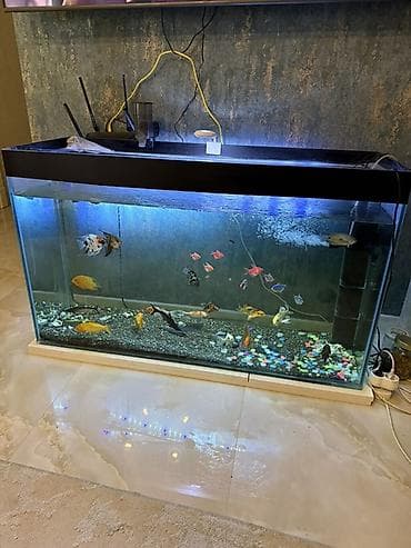 Böyük həcmli şüşə akvarium 350 litr– tam işlək komplekt — 2