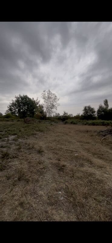 fatmayı torpaq: 10 sot, Kupça (Çıxarış) — 7