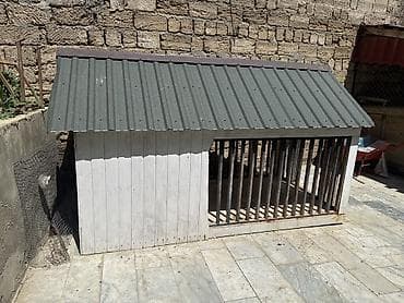 keci sanen: Böyük ölçülü it evi və açıq volyer - Karkas: qalın taxta — 3