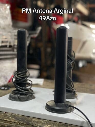 PM Antena Arginal