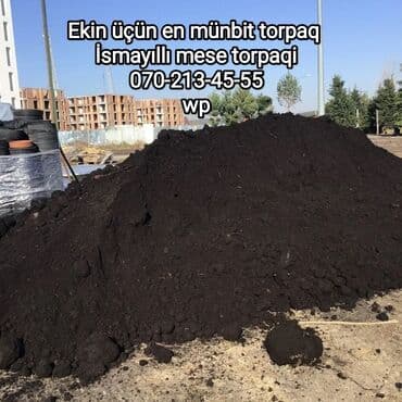 гул койгуч: Meşə torpağı, həm bağçılıq, həm də yaşıllaşdırma işləri üçün uyğun — 5