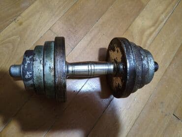 Электротранспорт: Блин для штанги, Вес: 75 кг, Б/у — 1