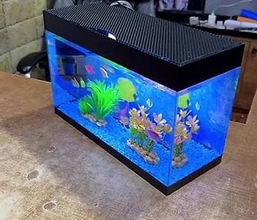 где купить ph метр: Прямоугольный аквариум, Вместе с рыбами, 15 л, Платная доставка — 1