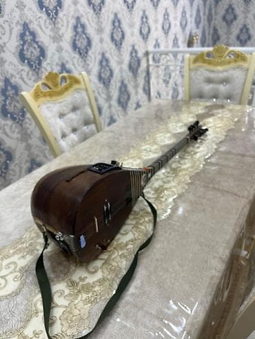 CD, DVD disklər və kassetlər: Elektro saz – quraşdırılmış elektronikaya malik professional çalğı — 6