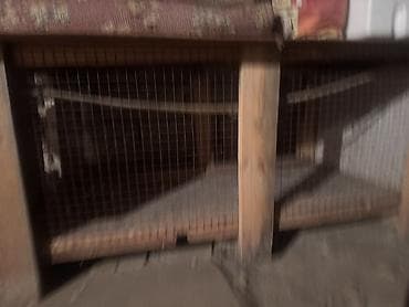 hinduşka balaları: Taxta karkaslı torlu heyvan qəfəsi toyuq-cücə, dovşan, hind toyuğu — 2