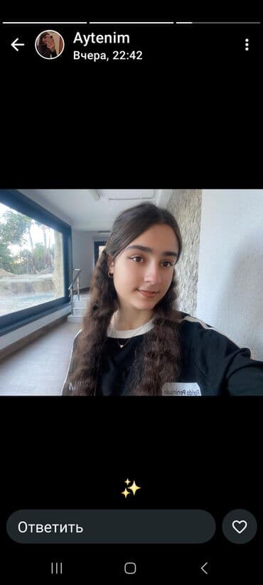 Gəmiricilər: Aseel (Asil) növü xoruz - Rəng: qara tüklər, qırmızı dimdik və baş - — 1