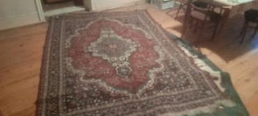 Растения: Ковер Декоративный, Нет кредита — 1