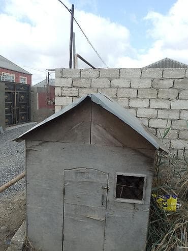 qus qefes: Taxta toyuq/broyler yuvası (mini tövlə) - Material: qalın faner — 2