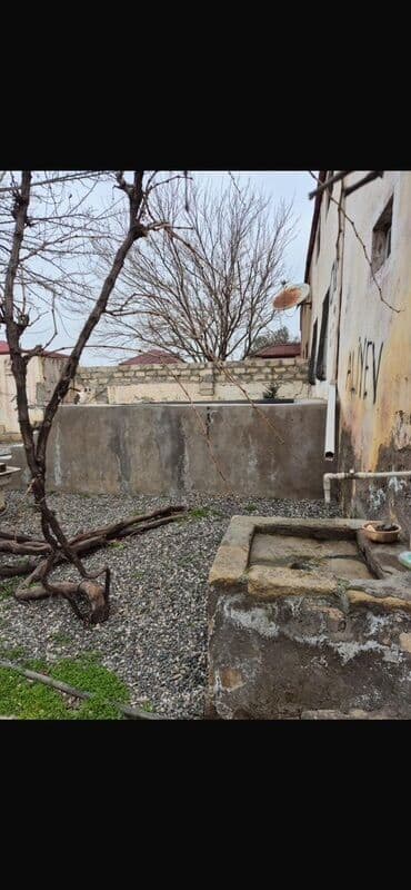 купить дом в бина: Umumi 3.5 sotdur Ama çıxarışda 2,8 sotdur Ana yoldan 600 m içeride — 3