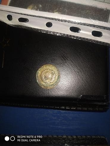 yeni 20 qepik: 20 Qəpik, 1925 il, Vəziyyəti: Qənaətbəxş — 2