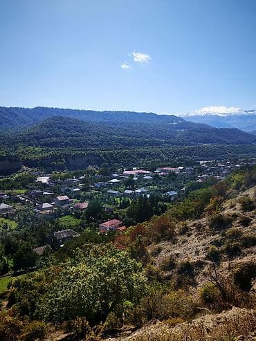 zaqatalada satilan evler: Kənd təsərrüfatı — 4