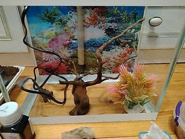 baliq levazimatlari satisi: Akvaryum dəsti – tam komplekt - Şüşə akvaryum, ağ metal/PL çərçivə — 2