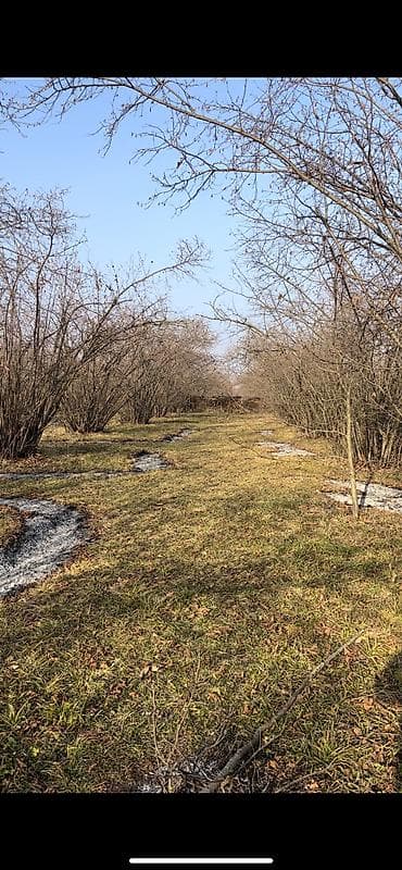 ucuz torpaq axtariram: 30 sot, Tikinti, Mülkiyyətçi, Kupça (Çıxarış) — 2