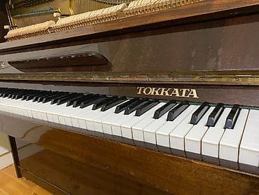 pianino satış: Piano, Akustik, İşlənmiş, Ödənişli çatdırılma, Pulsuz çatdırılma, Rayonlara çatdırılma — 4