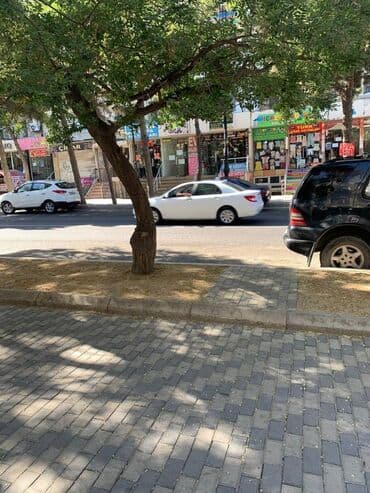 ist petrol tbilisi prospekti: Bakı, 3 otaqlı, Köhnə tikili, m. Memar Əcəmi, 75 kv. m — 16