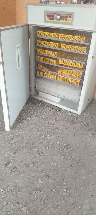 витринный холодильник цена: 1100 яиц, Полностью автоматическая — 2