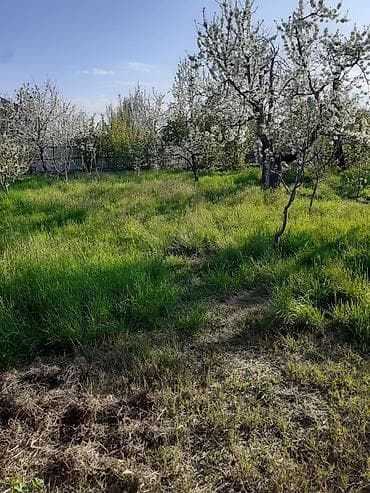 5 otaqlı mənzillərin satışı: Tikinti — 2