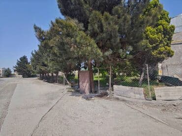 аренда дач в баку: 1.8 hektar ərazi İstesalat və anbara tam yararlı Yeraltı su özümüzündü — 11