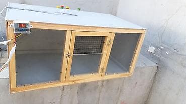 hamster near me: Cuceler ucun bruder termostatla idare olunur istilik.her terefi — 10