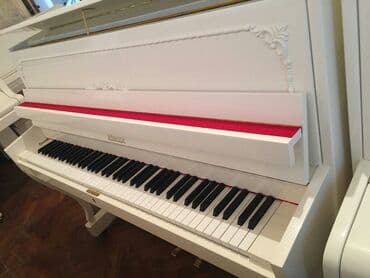 terlan elekberov: Pianino RÖNISCH Almaniya stehsalı. Əla vəziyyədədi. Cadırılma və — 2