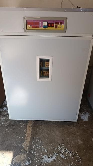 incubator satisi: Tam avtomat — 1