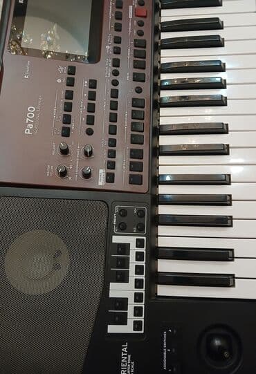 korg pa: Sintezator, Korg, Yeni, Ünvandan götürmə — 10